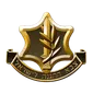 Israel Defense Forces